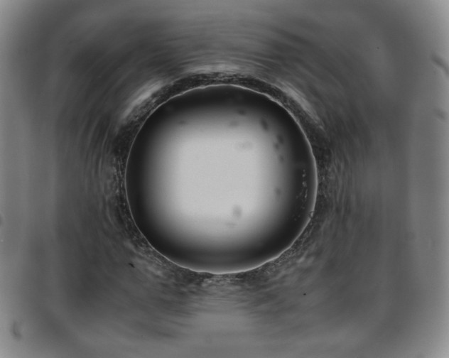 X0000097820967200803141137