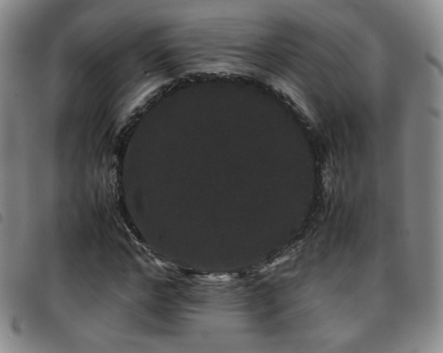 X0000097820968200803141137