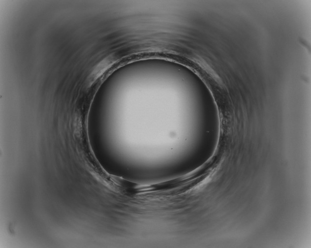 X0000097820969200803141137