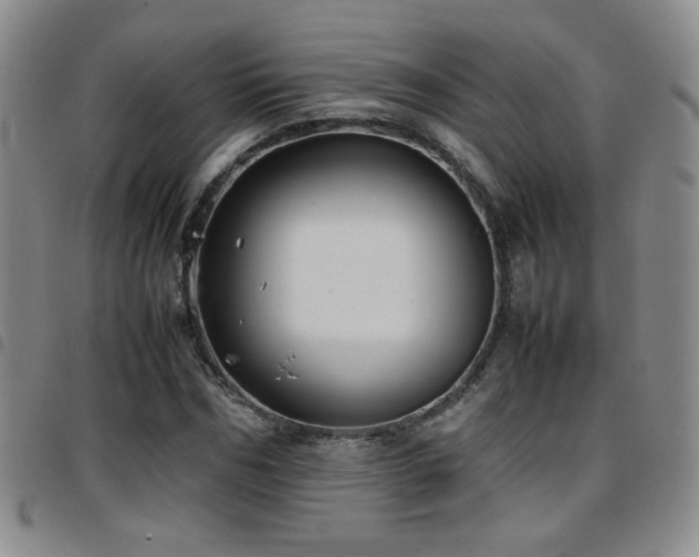 X0000097820970200803141137