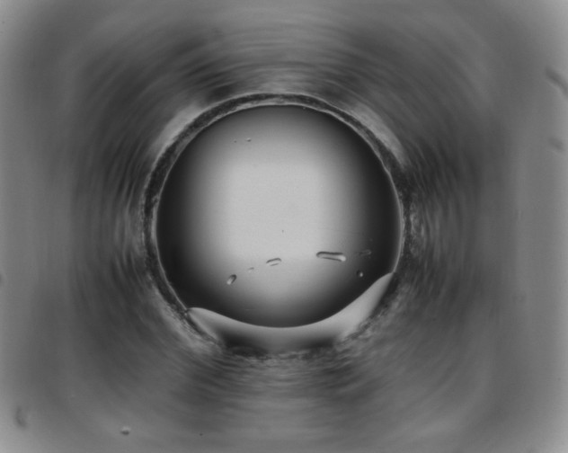 X0000097820972200803141137