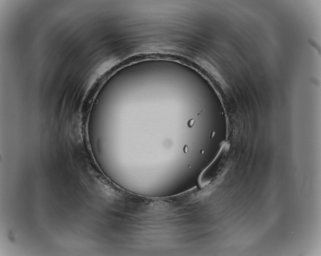 X0000097820974200803141137