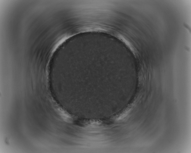 X0000097820975200803141137