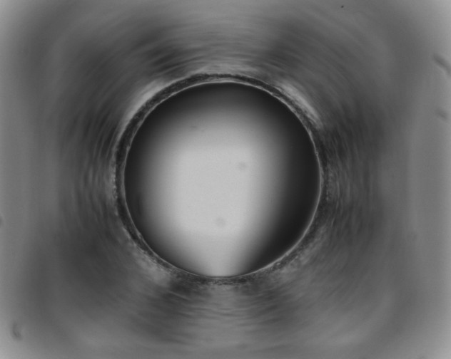 X0000097820976200803141137