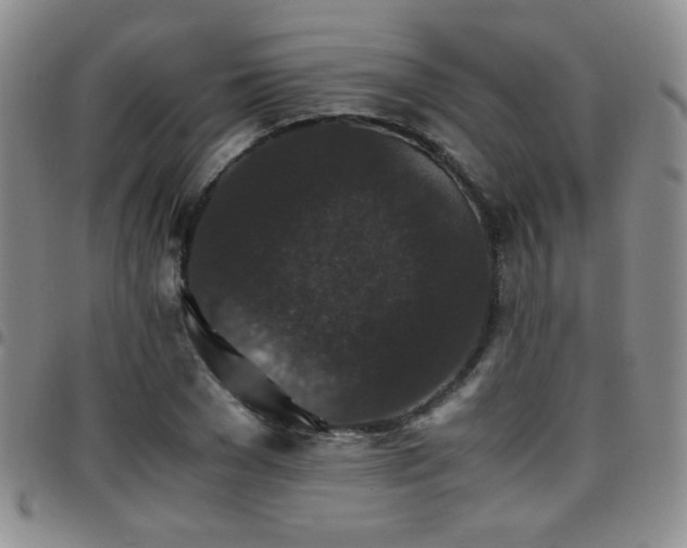 X0000097820977200803141137