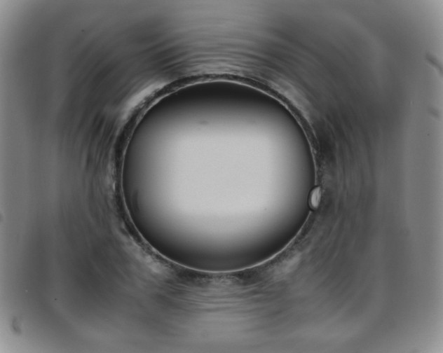 X0000097820979200803141137