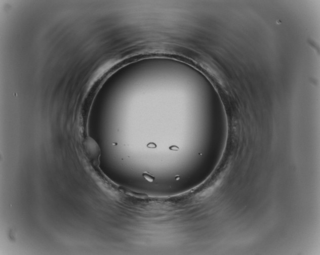 X0000097820981200803141137