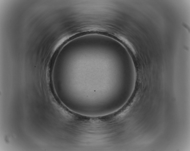 X0000097820983200803141136