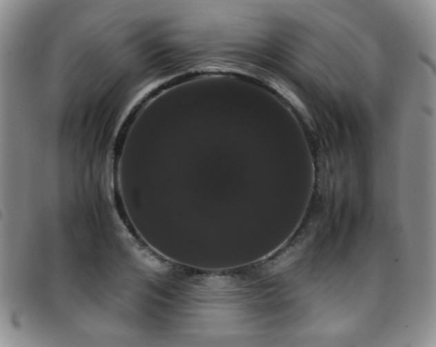 X0000097820984200803141136