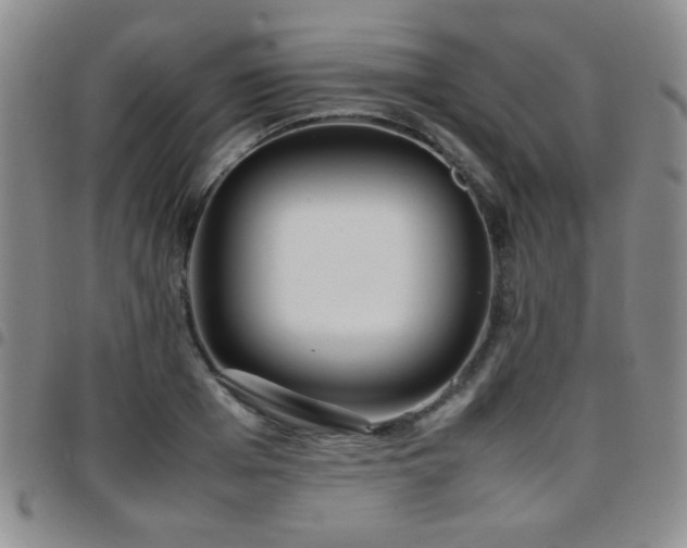 X0000097820985200803141136