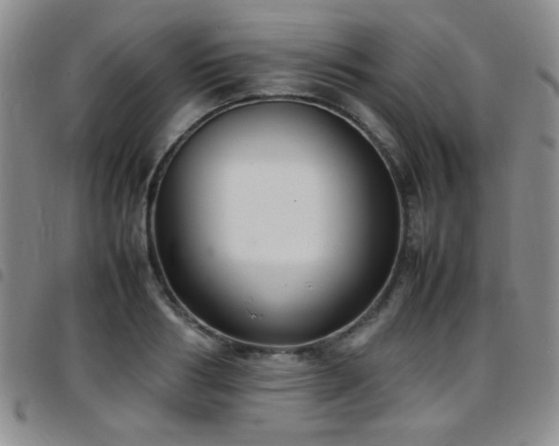 X0000097820986200803141136