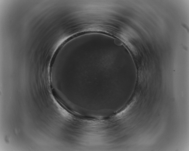 X0000097820988200803141136