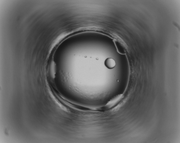 X0000097820989200803141136