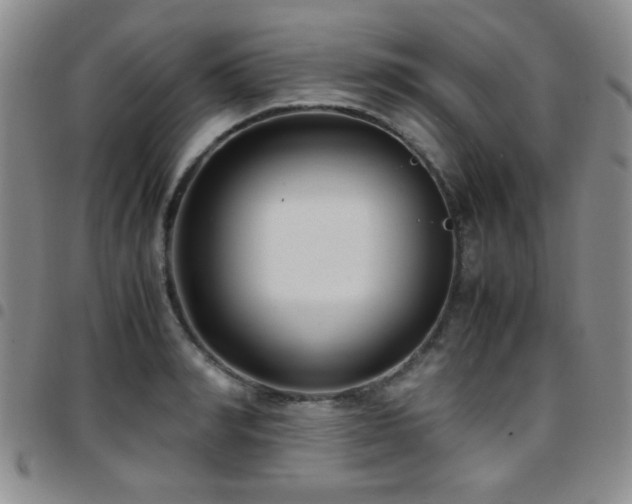 X0000097820990200803141136