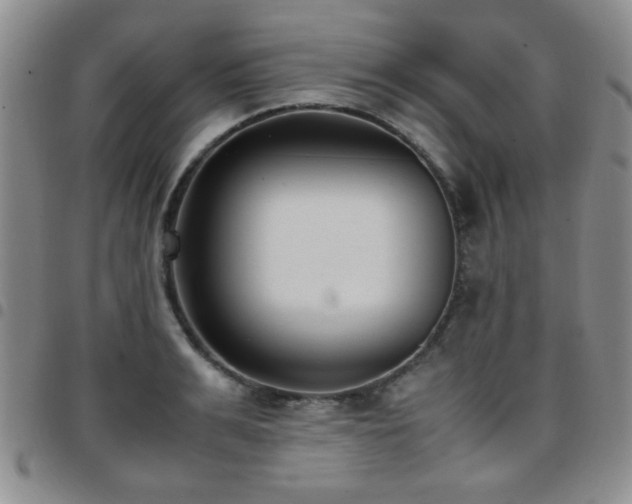 X0000097820991200803141136