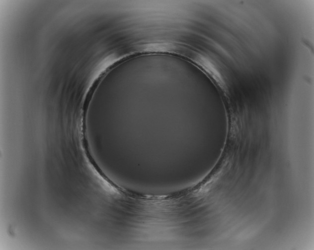 X0000097820992200803141136