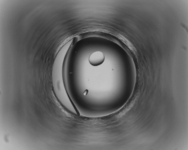 X0000097820993200803141136