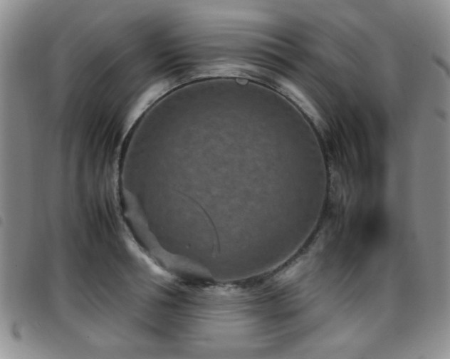 X0000097820994200803141136