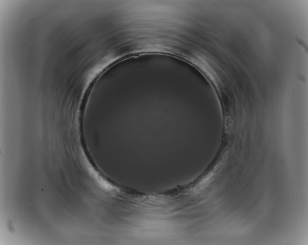 X0000097820995200803141136