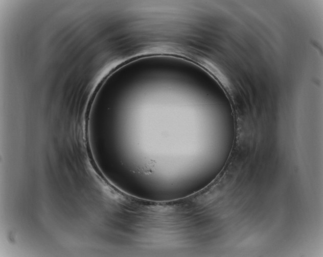 X0000097820996200803141136