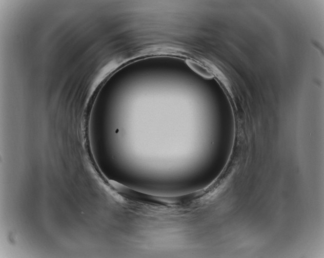 X0000097820997200803141136