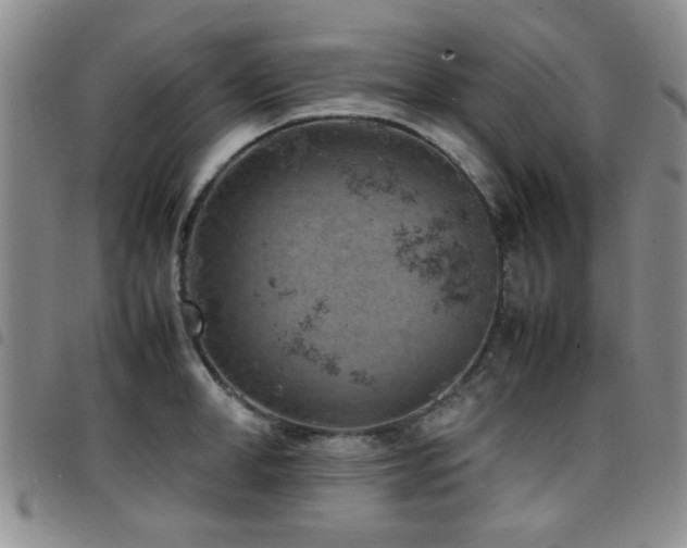 X0000097820998200803141136