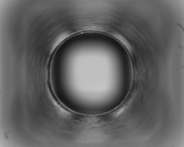 X0000097820999200803141136