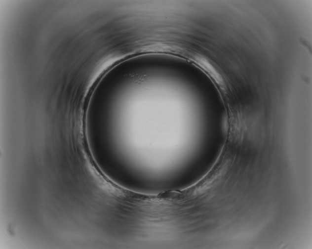 X0000097821000200803141136