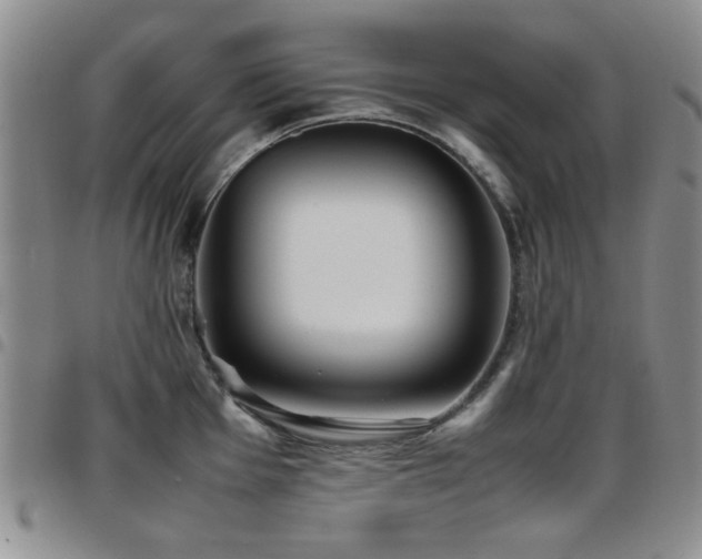 X0000097821001200803141136