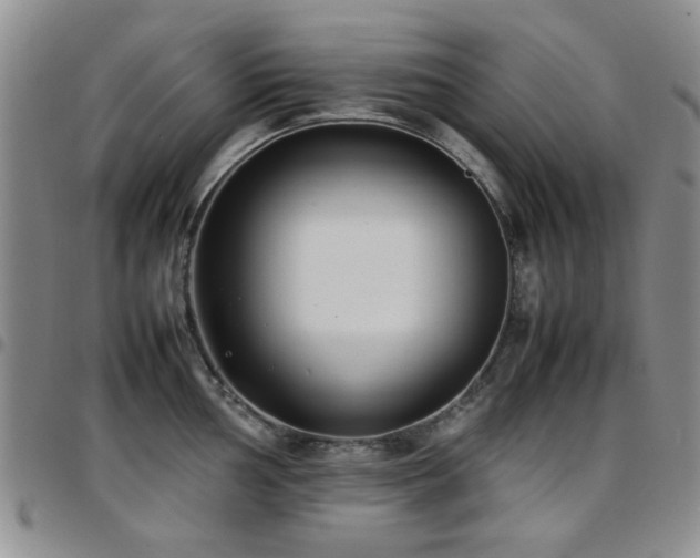 X0000097821002200803141136