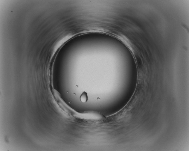 X0000097821003200803141136