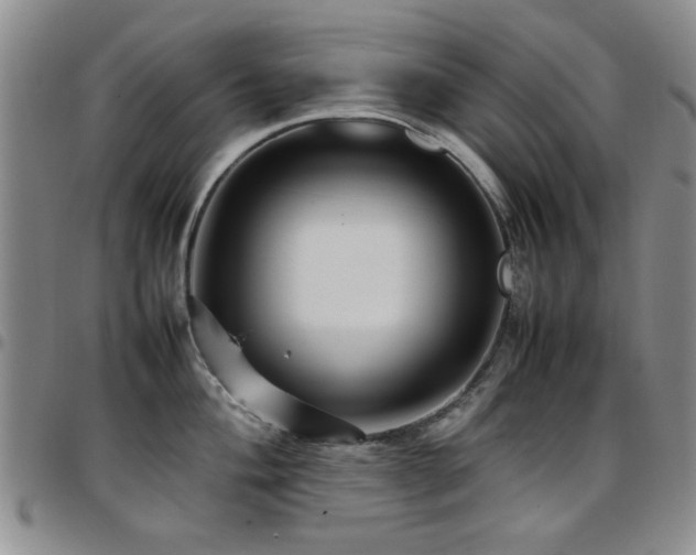 X0000097821004200803141136