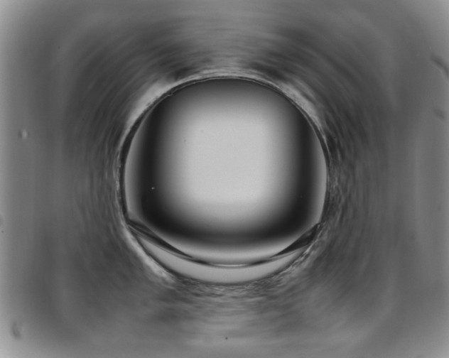 X0000097821005200803141136