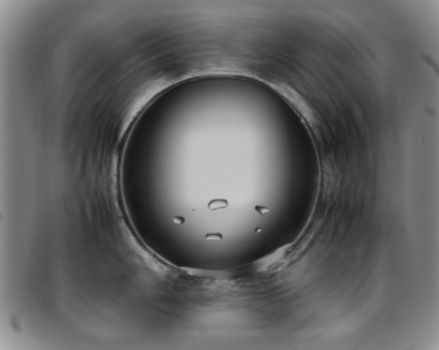 X0000097821006200803141136