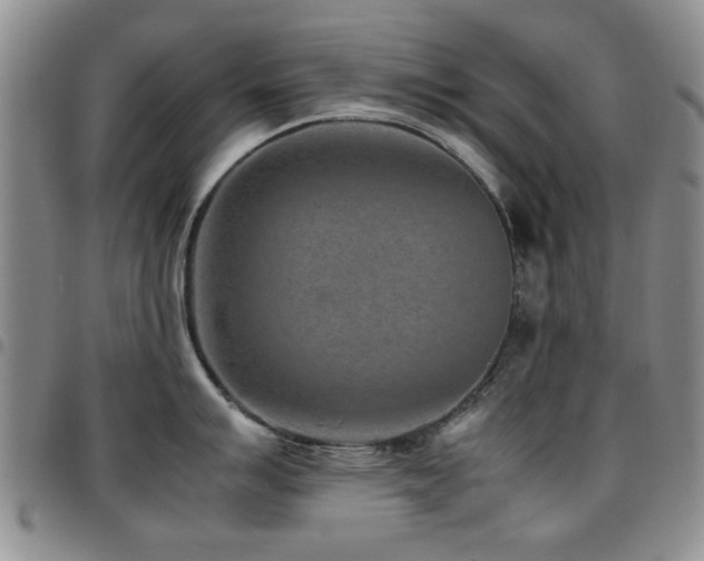 X0000097821007200803141136