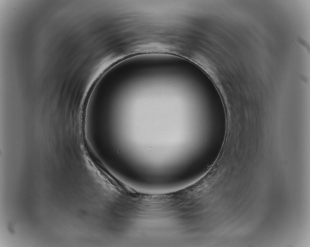 X0000097821008200803141136