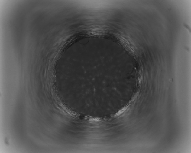 X0000097821009200803141135