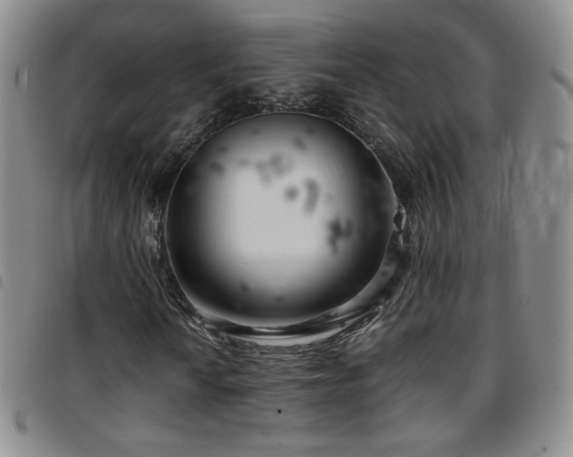 X0000097821010200803141135