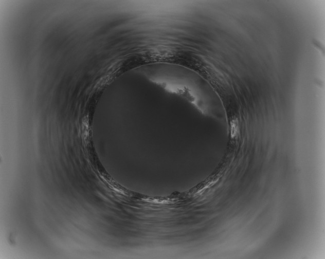 X0000097821011200803141135