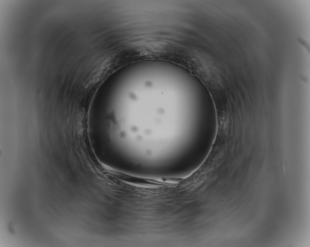 X0000097821012200803141135