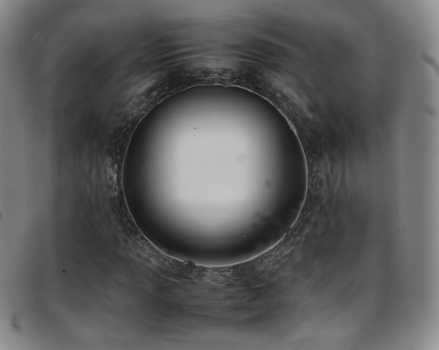 X0000097821013200803141135