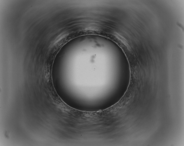 X0000097821015200803141135