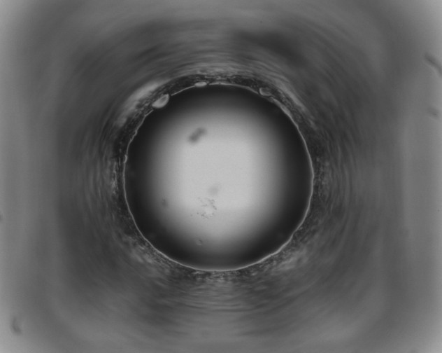 X0000097821016200803141135