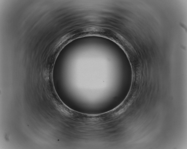 X0000097821017200803141135