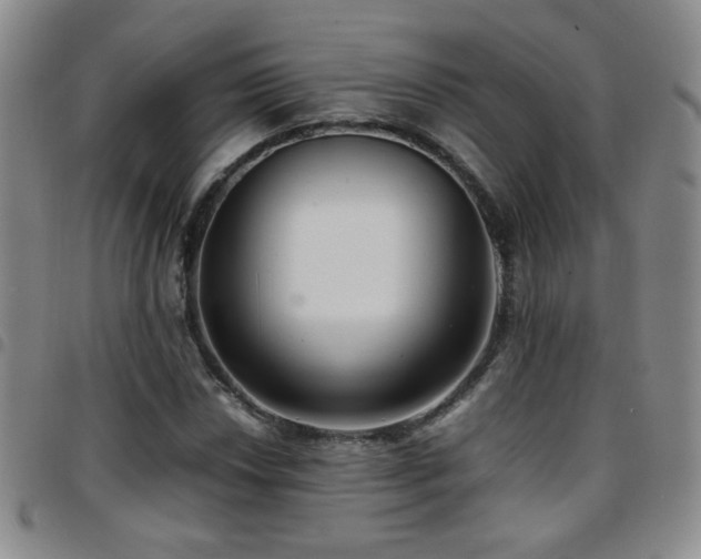 X0000097821018200803141135