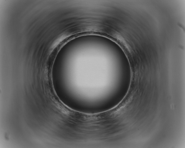 X0000097821019200803141135