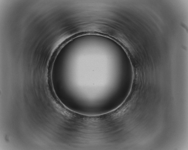 X0000097821020200803141135