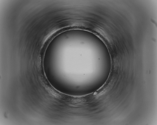 X0000097821021200803141135