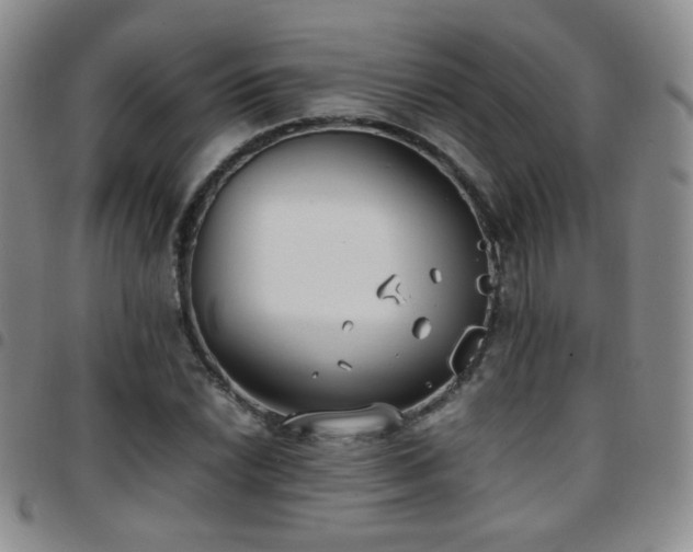 X0000097821022200803141135