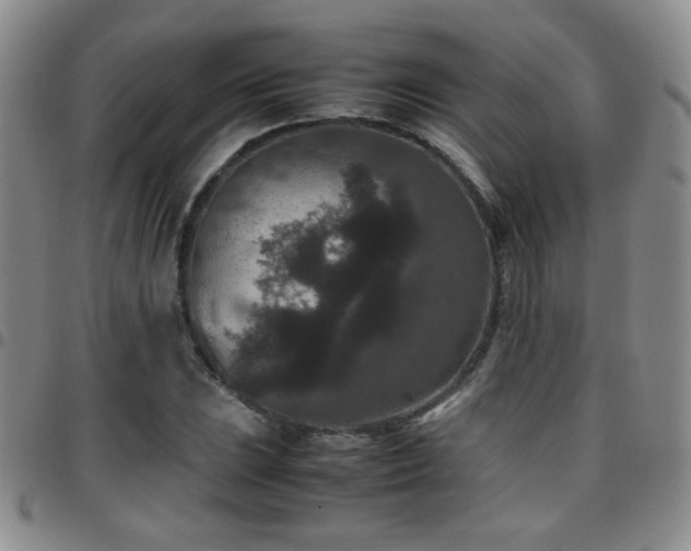 X0000097821023200803141136